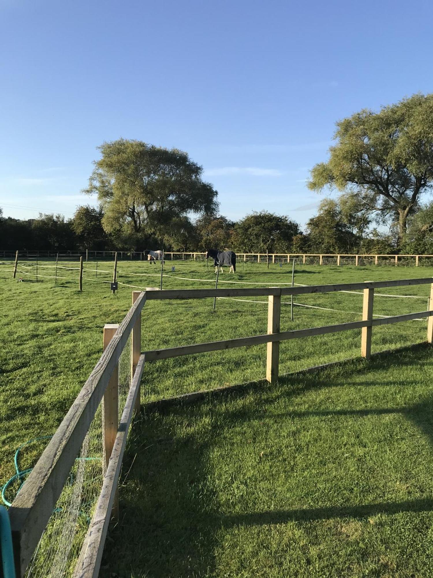 Robeanne House Holiday Accommodation Shiptonthorpe Bilik gambar